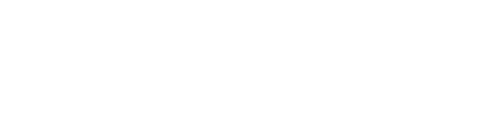 naucera logo sm